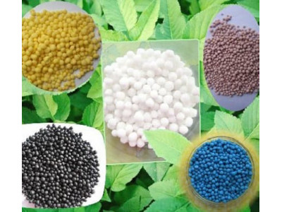 Новые формы минеральных удобрений для огорода